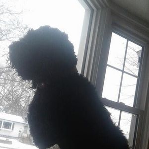 Meet your Posher, Mason